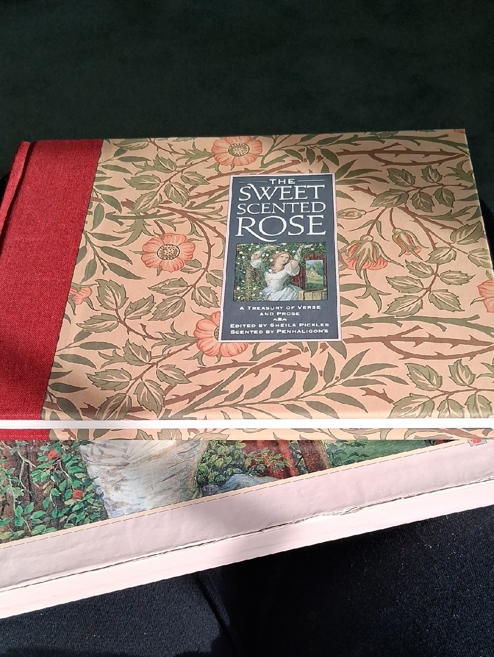 The Sweet Scented Rose